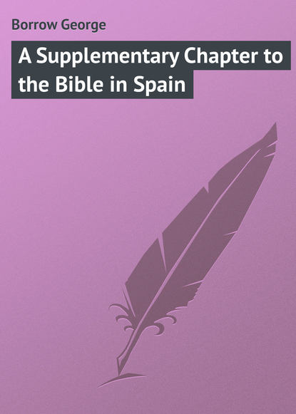 Скачать книгу A Supplementary Chapter to the Bible in Spain