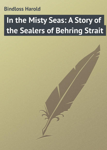Скачать книгу In the Misty Seas: A Story of the Sealers of Behring Strait