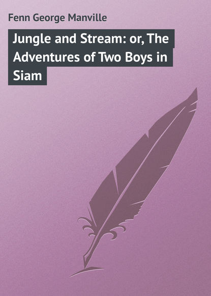 Скачать книгу Jungle and Stream: or, The Adventures of Two Boys in Siam