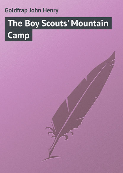 Скачать книгу The Boy Scouts&apos; Mountain Camp