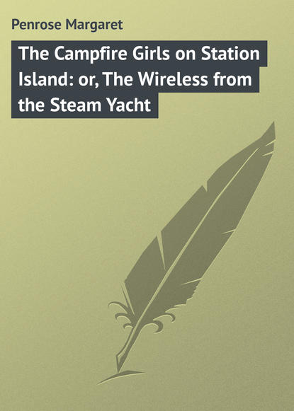Скачать книгу The Campfire Girls on Station Island: or, The Wireless from the Steam Yacht