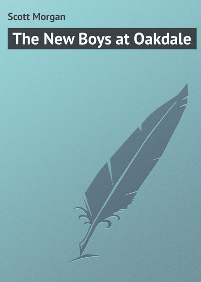 Скачать книгу The New Boys at Oakdale