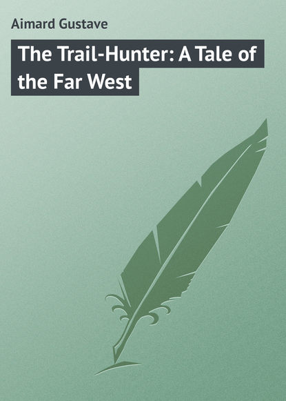 Скачать книгу The Trail-Hunter: A Tale of the Far West