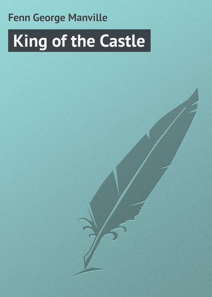 Скачать книгу King of the Castle