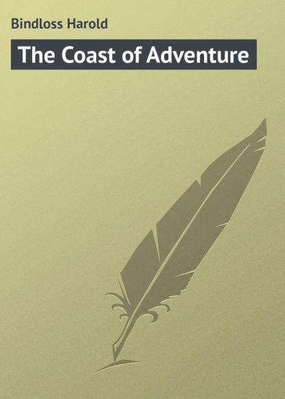 Скачать книгу The Coast of Adventure
