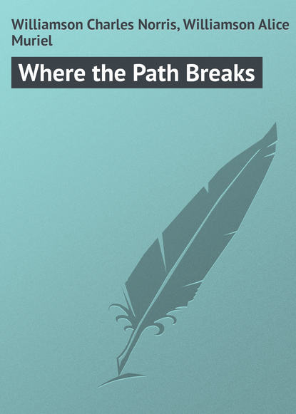 Скачать книгу Where the Path Breaks