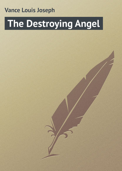 Скачать книгу The Destroying Angel