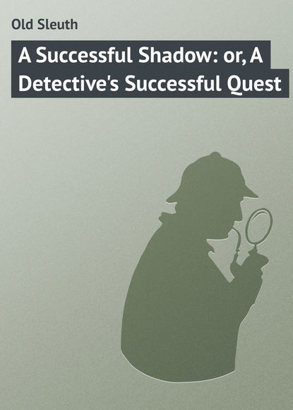 Скачать книгу A Successful Shadow: or, A Detective&apos;s Successful Quest