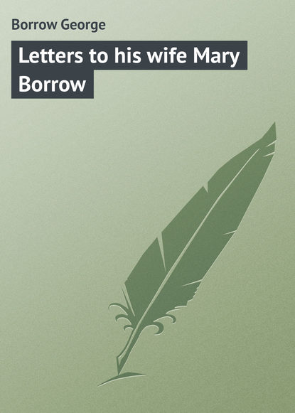 Скачать книгу Letters to his wife Mary Borrow