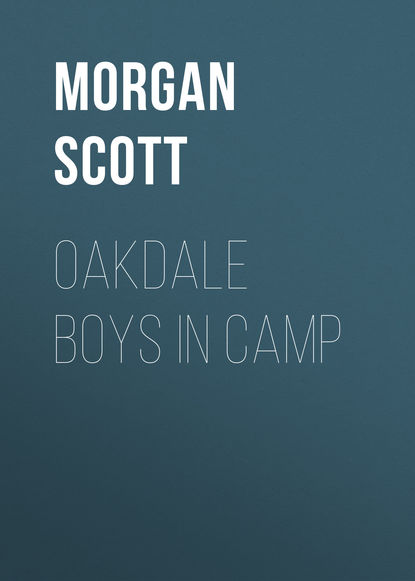 Скачать книгу Oakdale Boys in Camp
