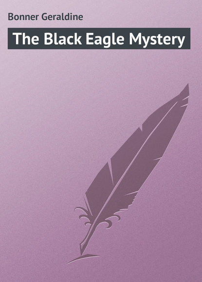 Скачать книгу The Black Eagle Mystery