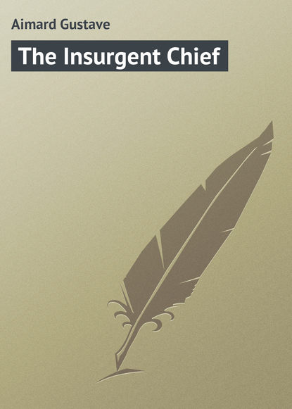 Скачать книгу The Insurgent Chief