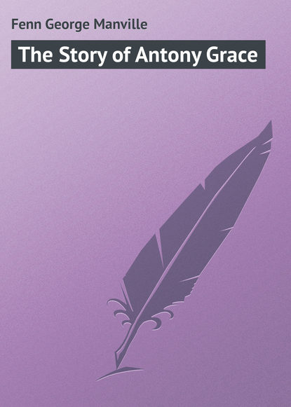 Скачать книгу The Story of Antony Grace