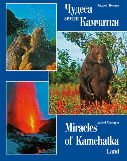 Скачать книгу Чудеса земли Камчатки / Miracles of Kamchatka Land