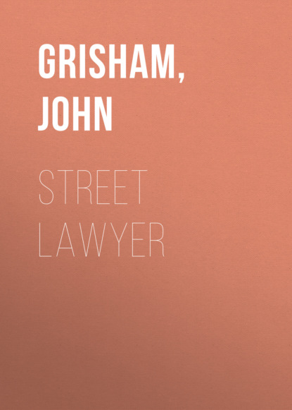 Скачать книгу Street Lawyer