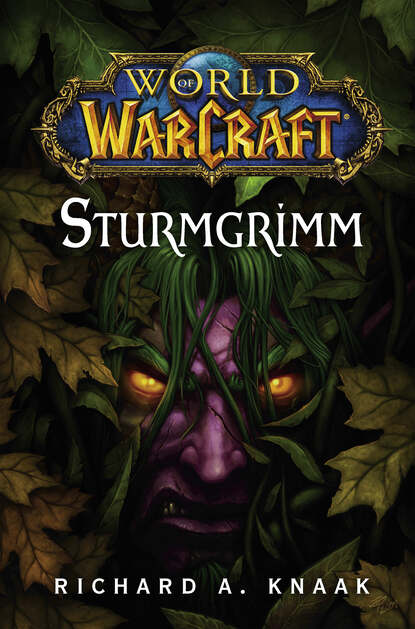 Скачать книгу World of Warcraft: Sturmgrimm