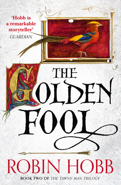 Скачать книгу The Golden Fool