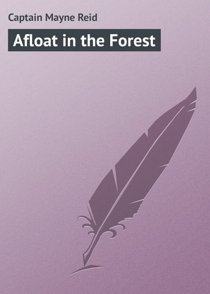 Скачать книгу Afloat in the Forest