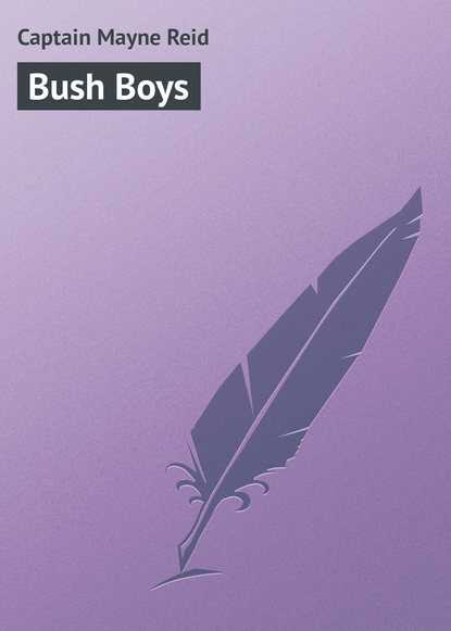 Скачать книгу Bush Boys