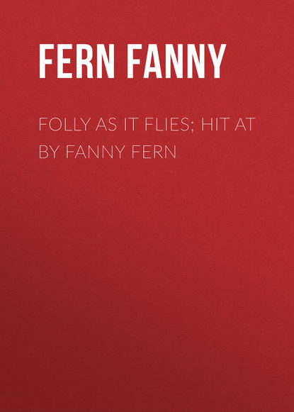 Скачать книгу Folly as It Flies; Hit at by Fanny Fern