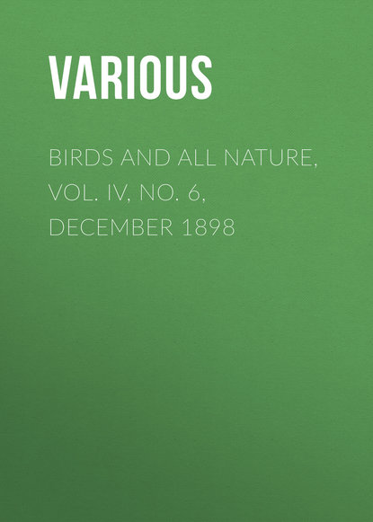 Скачать книгу Birds and all Nature, Vol. IV, No. 6, December 1898