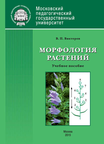 Скачать книгу Морфология растений