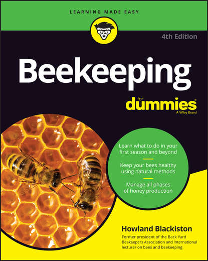 Скачать книгу Beekeeping For Dummies