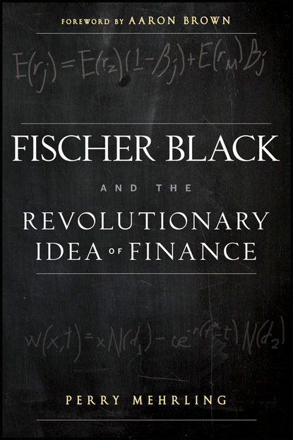 Скачать книгу Fischer Black and the Revolutionary Idea of Finance