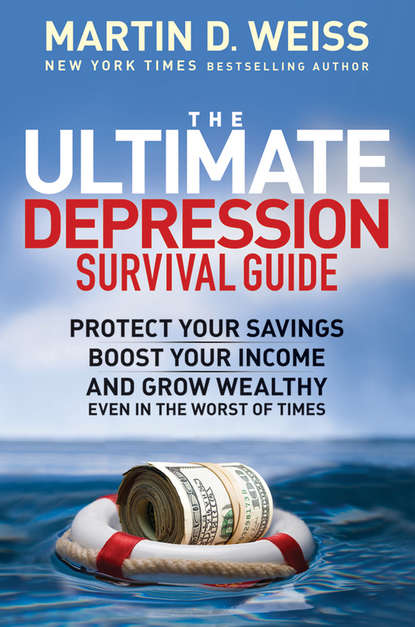 Скачать книгу The Ultimate Depression Survival Guide. Protect Your Savings, Boost Your Income, and Grow Wealthy Even in the Worst of Times