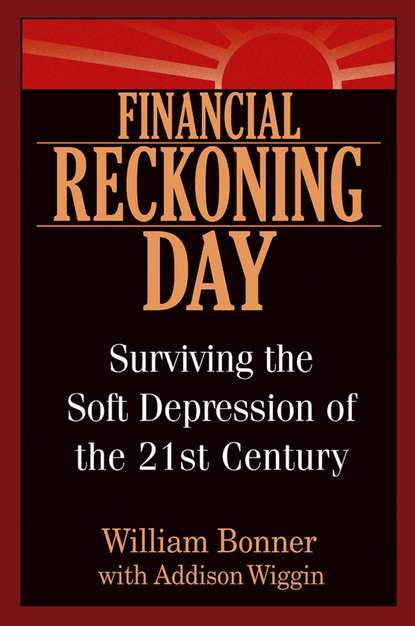 Скачать книгу Financial Reckoning Day. Surviving the Soft Depression of the 21st Century