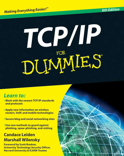 Скачать книгу TCP / IP For Dummies