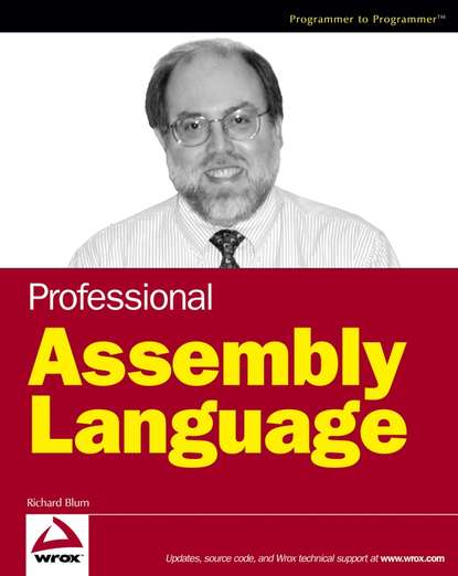 Скачать книгу Professional Assembly Language