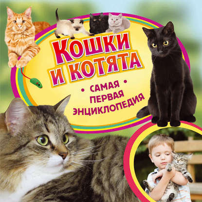 Скачать книгу Кошки и котята