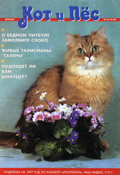 Скачать книгу Кот и Пёс №06/1996