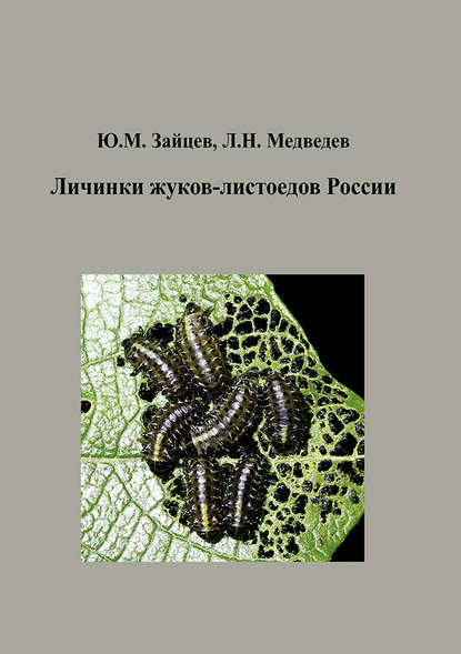 Скачать книгу Личинки жуков-листоедов России
