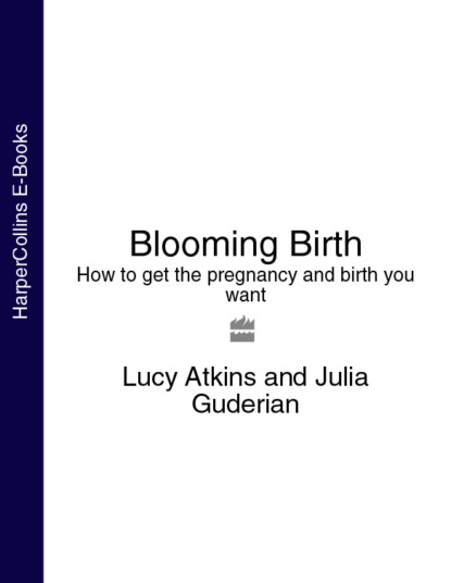 Скачать книгу Blooming Birth: How to get the pregnancy and birth you want