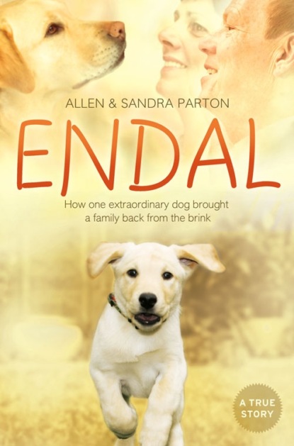Скачать книгу Endal: How one extraordinary dog brought a family back from the brink