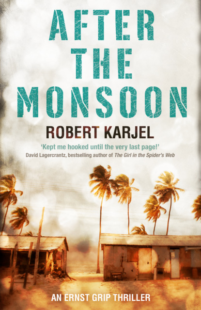 Скачать книгу After the Monsoon: An unputdownable thriller that will get your pulse racing!