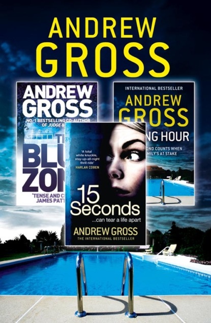 Скачать книгу Andrew Gross 3-Book Thriller Collection 2: 15 Seconds, Killing Hour, The Blue Zone