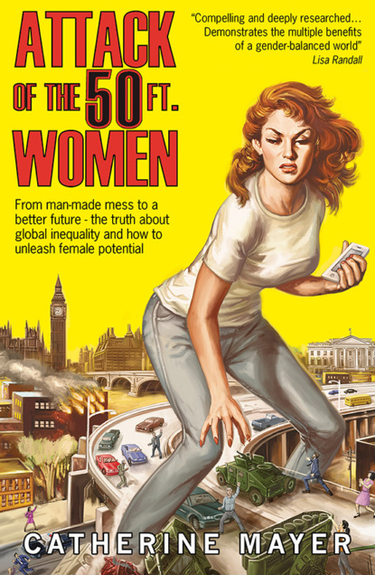 Скачать книгу Attack of the 50 Ft. Women: From man-made mess to a better future – the truth about global inequality and how to unleash female potential