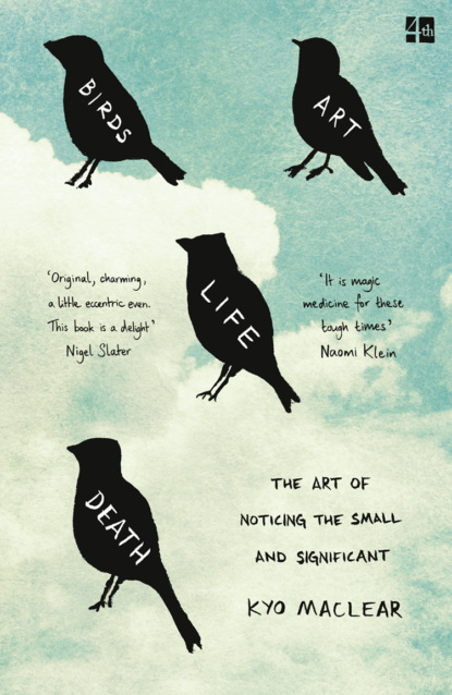 Скачать книгу Birds Art Life Death: The Art of Noticing the Small and Significant