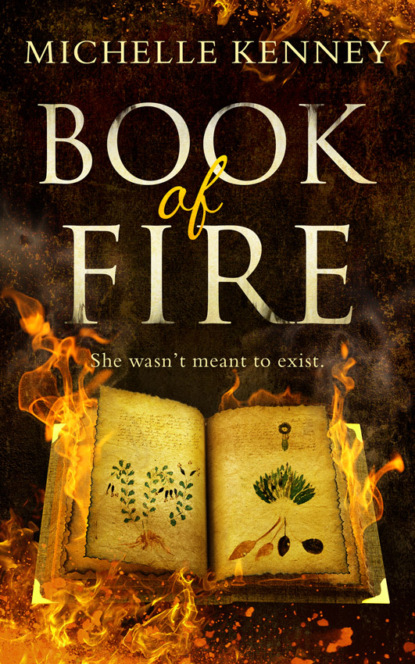 Скачать книгу Book of Fire: a debut fantasy perfect for fans of The Hunger Games, Divergent and The Maze Runner