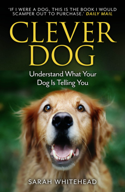Скачать книгу Clever Dog: Understand What Your Dog is Telling You