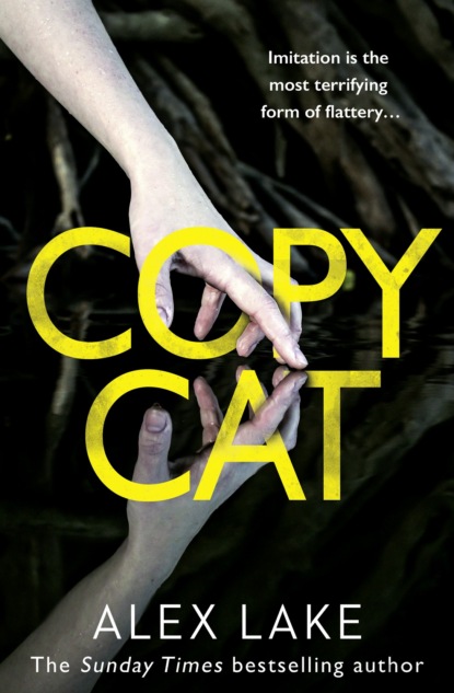 Скачать книгу Copycat: The unputdownable new thriller from the bestselling author of After Anna