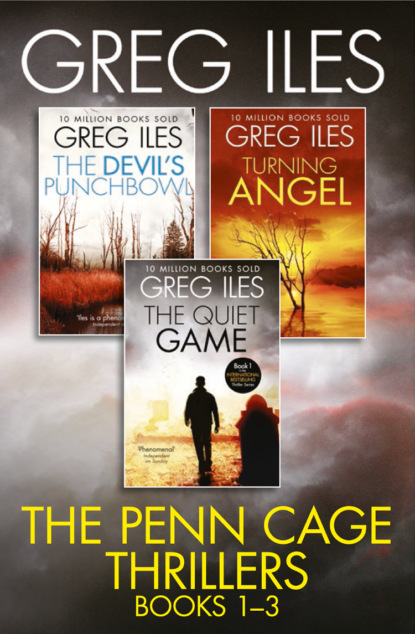Скачать книгу Greg Iles 3-Book Thriller Collection: The Quiet Game, Turning Angel, The Devil’s Punchbowl