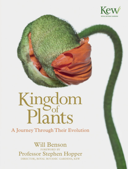 Скачать книгу Kingdom of Plants: A Journey Through Their Evolution