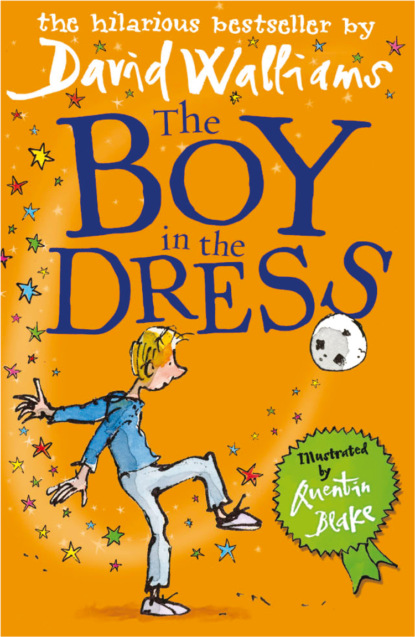 Скачать книгу The Boy in the Dress
