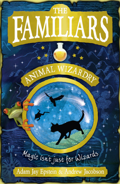 Скачать книгу The Familiars: Animal Wizardry