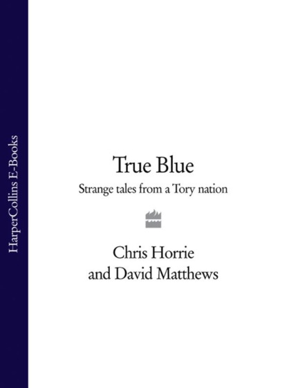 Скачать книгу True Blue: Strange Tales from a Tory Nation