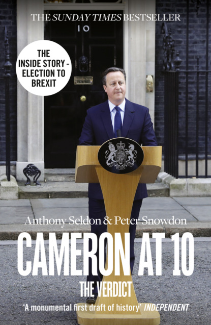 Скачать книгу Cameron at 10: From Election to Brexit